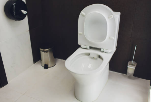 Everything You Should Know about Water Saving & Low Flush Toilets